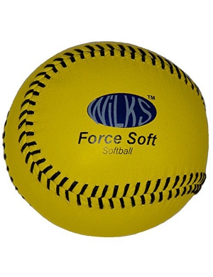 Aresson Force Soft Practice Softball